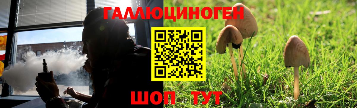 где купить наркоту  Галлюциногенные грибы прущие грибы  Вход с VPN  Набережные Челны 